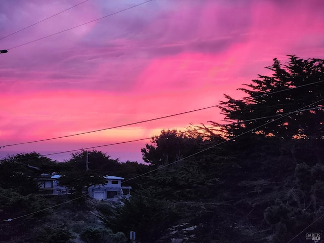 195 Ocean View Ave, Bodega Bay, CA 94923 - view of undeveloped land