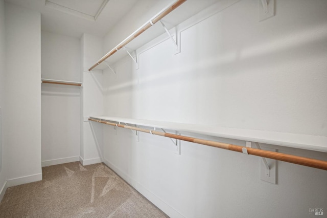 walk in closet with light colored carpet