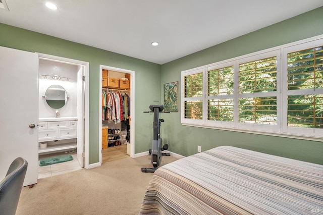 bedroom with multiple windows, a closet, carpet, and a walk in closet