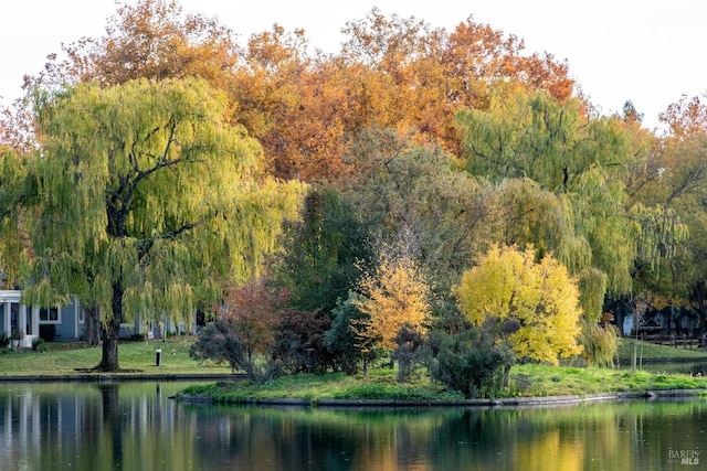 property view of water