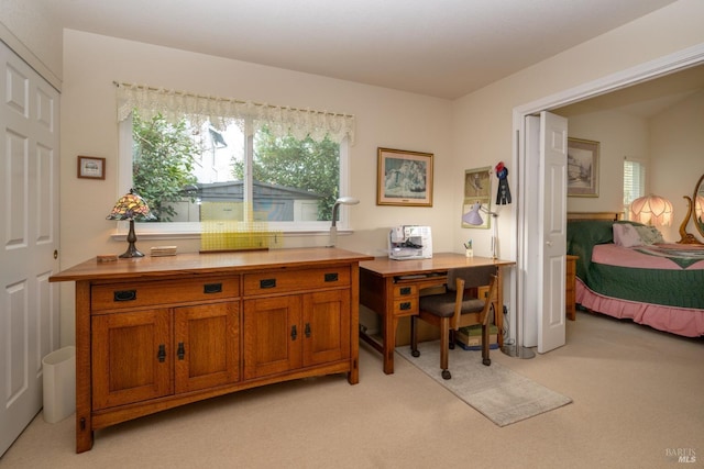 office space with light colored carpet and a healthy amount of sunlight