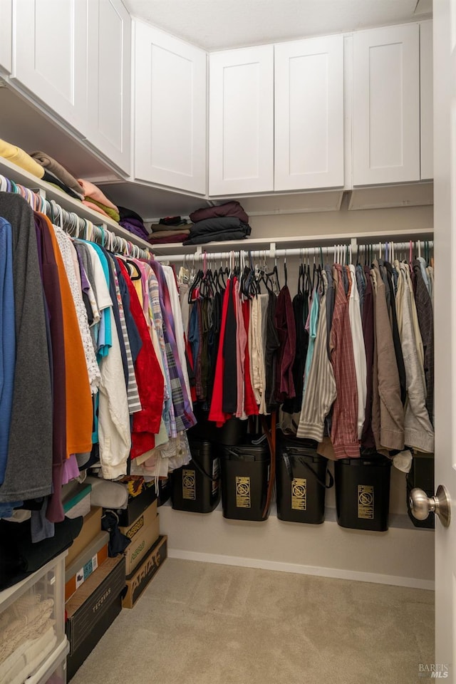 spacious closet featuring light colored carpet