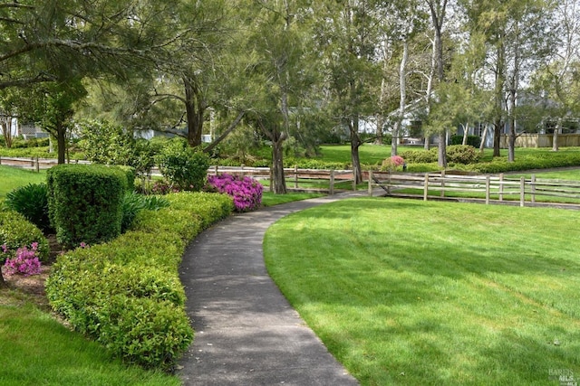 view of community featuring a yard