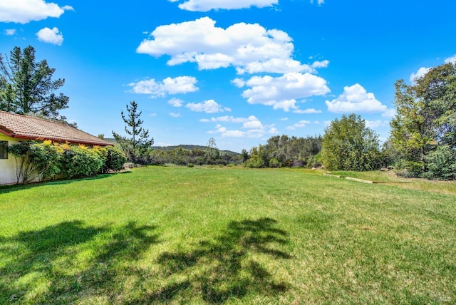 view of yard