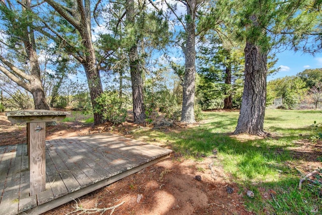 view of yard featuring a wooden deck
