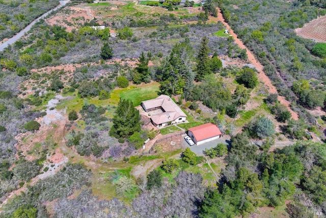 bird's eye view