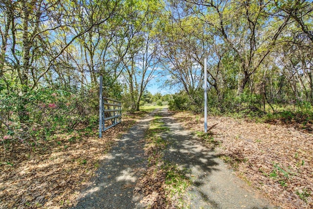 view of road featuring a gated entry
