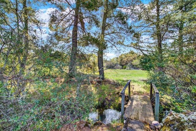 view of yard with a water view