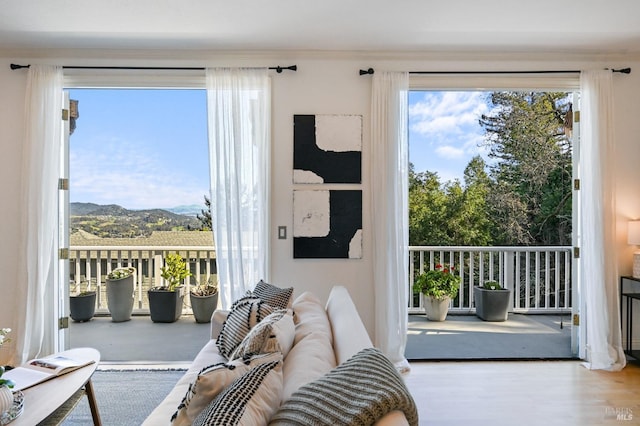 living area with a mountain view and wood finished floors