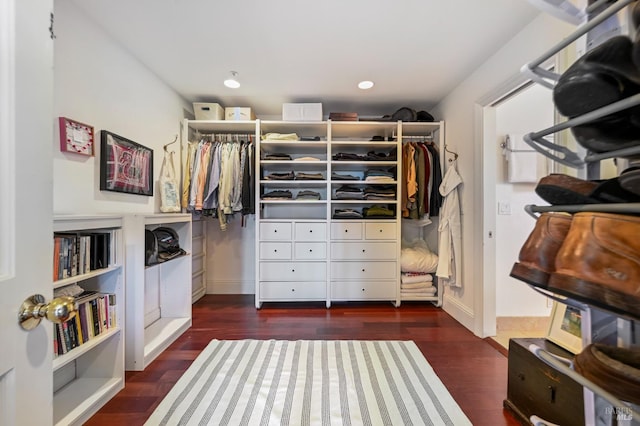 spacious closet featuring dark wood-style flooring