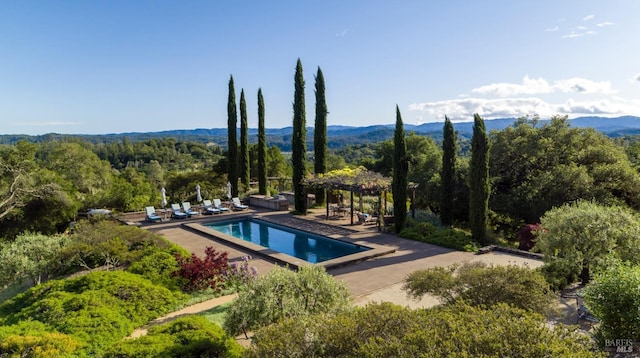 outdoor pool with a forest view, a patio area, and a mountain view