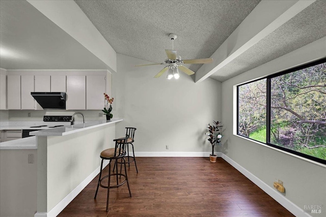 kitchen featuring exhaust hood, electric range, a textured ceiling, dark wood-style flooring, and light countertops