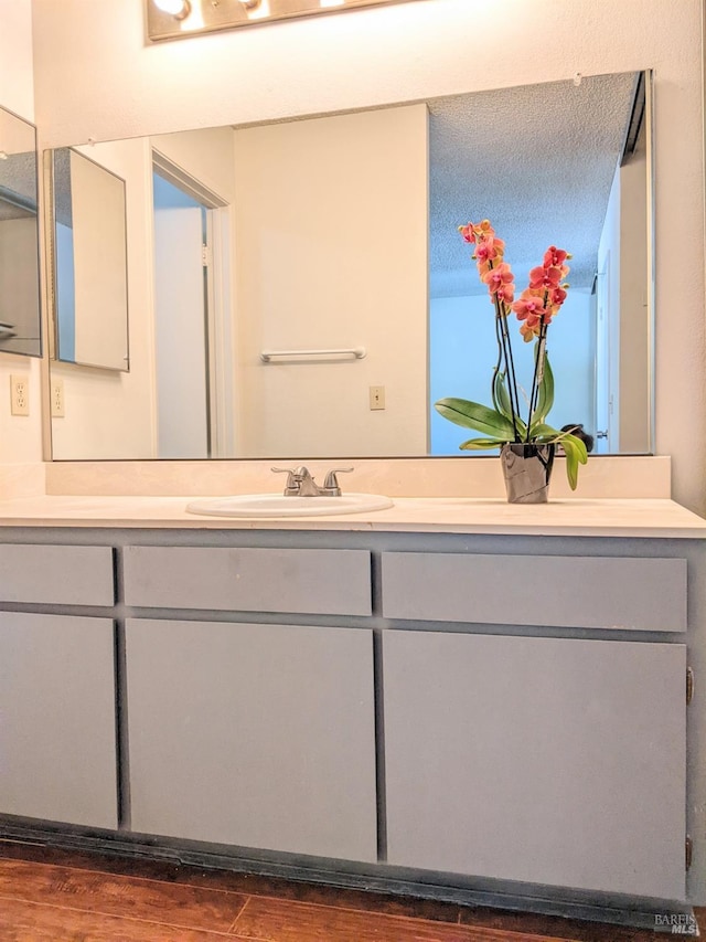 bathroom with wood finished floors and vanity