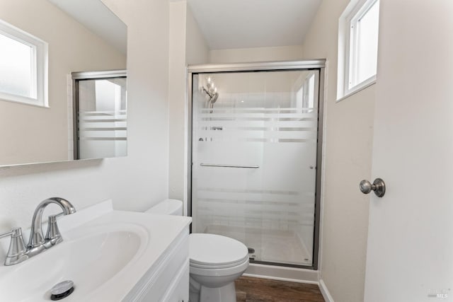 full bathroom with toilet, plenty of natural light, a shower stall, and vanity