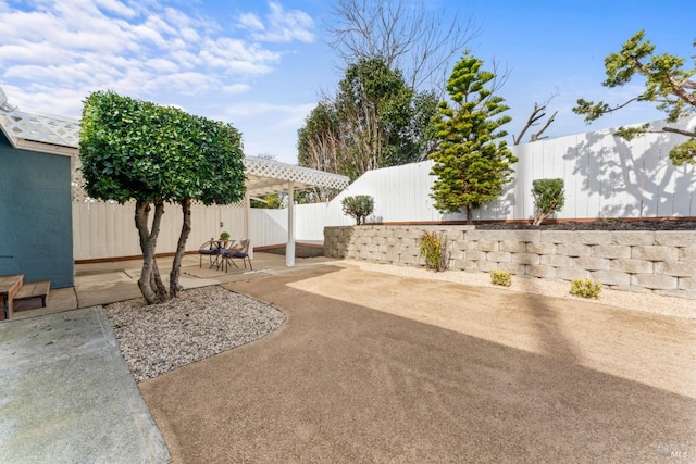 view of yard featuring a fenced backyard, a patio, and a pergola