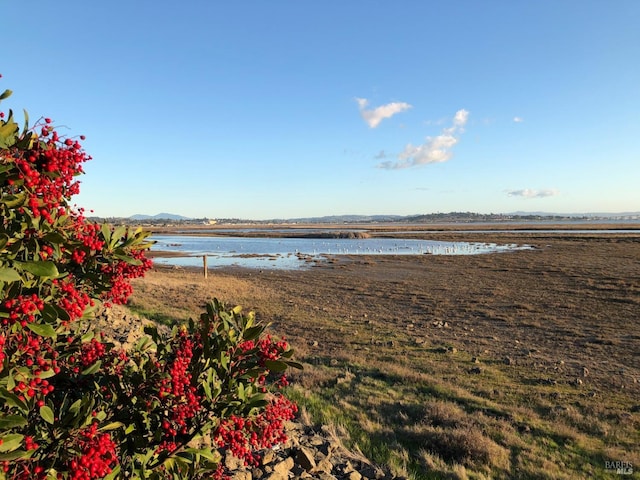 water view