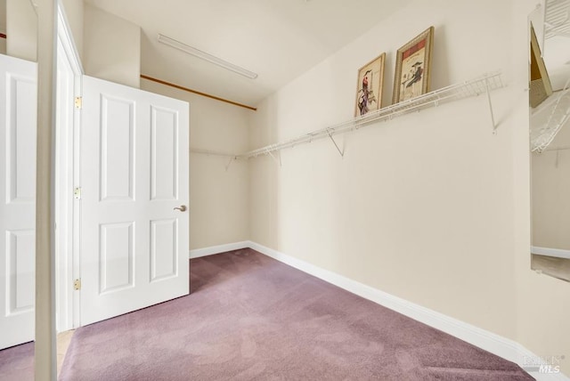 spacious closet with carpet flooring