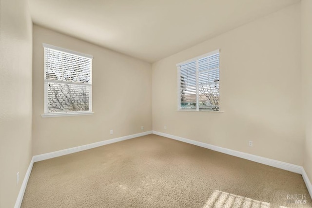 unfurnished room with baseboards, a healthy amount of sunlight, and carpet