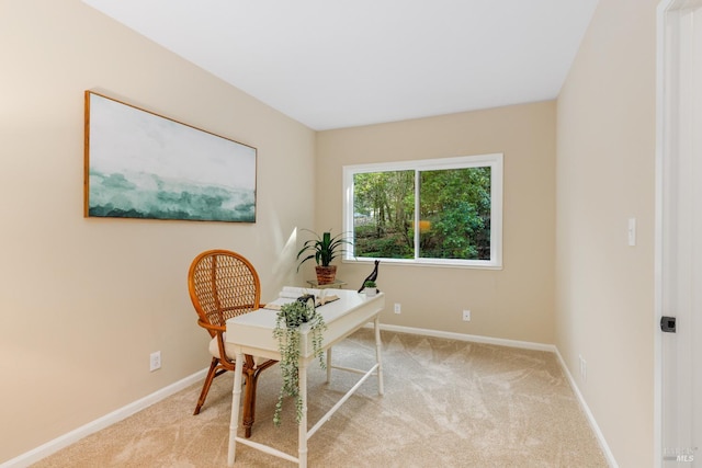 home office with light colored carpet and baseboards