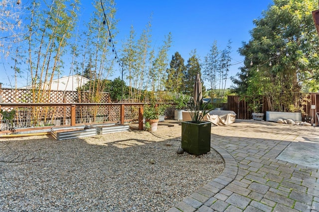 view of yard with a fenced backyard, a vegetable garden, and a patio