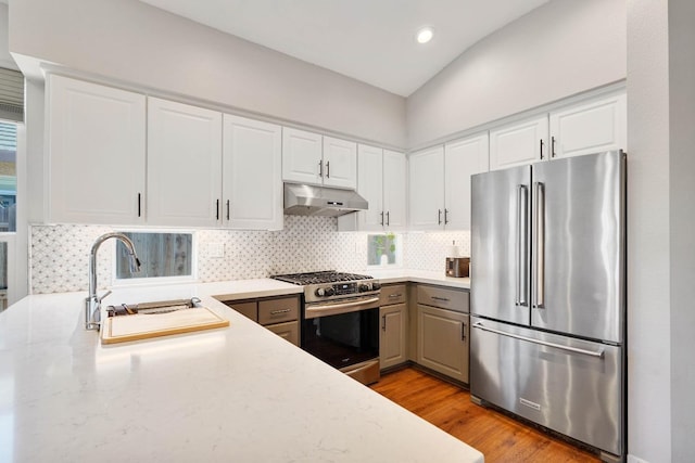 kitchen with decorative backsplash, stainless steel appliances, light wood-type flooring, under cabinet range hood, and a sink