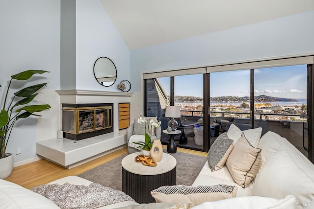 living room featuring high vaulted ceiling, wood finished floors, a glass covered fireplace, and baseboards