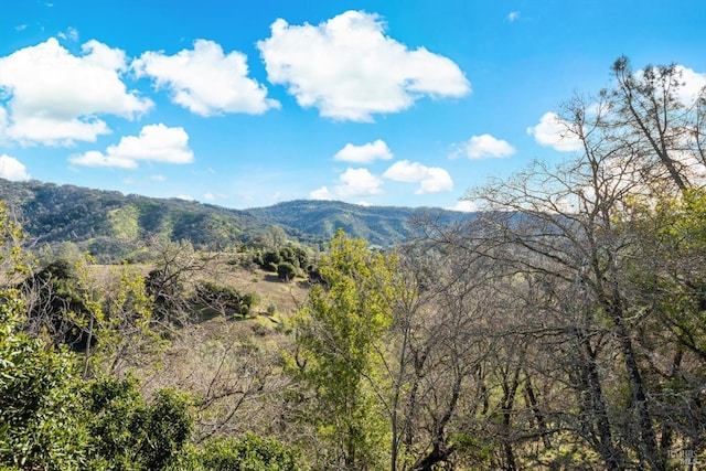 view of mountain feature with a forest view