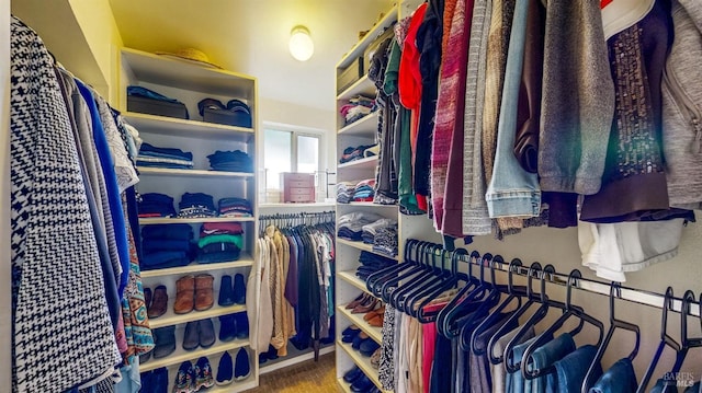 view of spacious closet