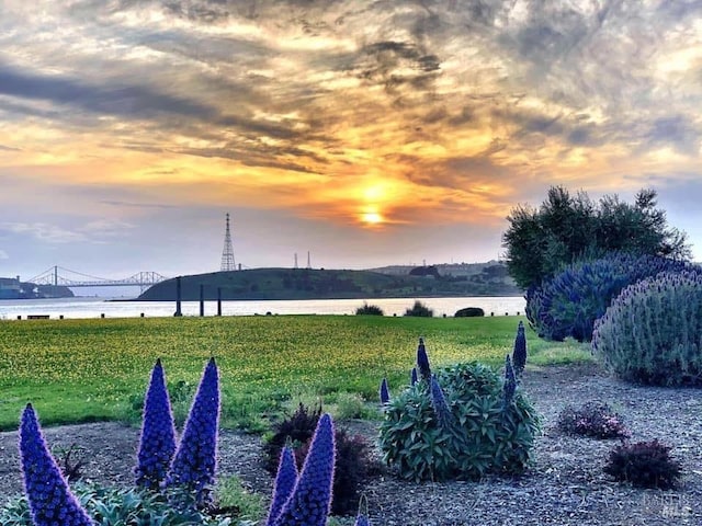view of yard featuring a water view