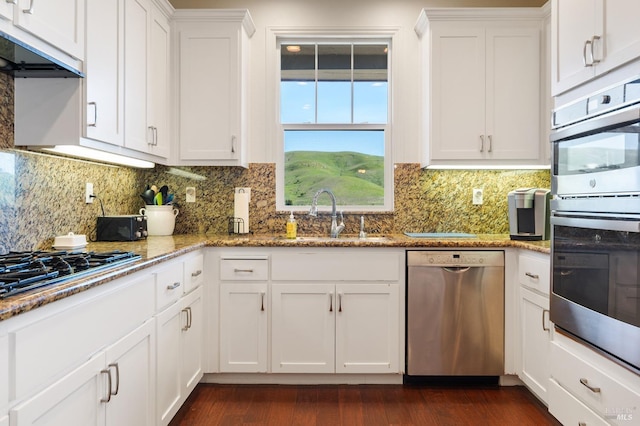 kitchen featuring appliances with stainless steel finishes, white cabinetry, a sink, and premium range hood