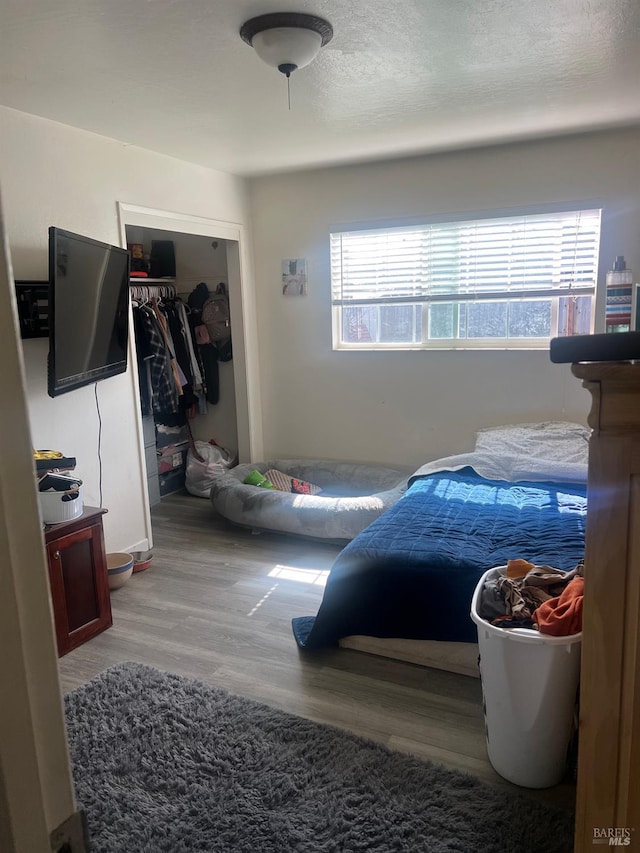 bedroom featuring a closet, multiple windows, wood finished floors, and a textured ceiling