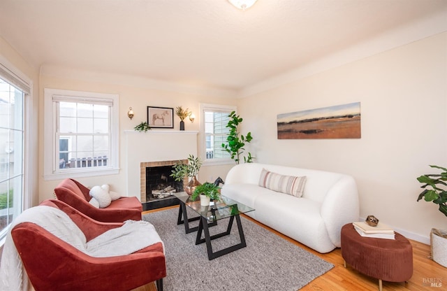 living area with a fireplace and wood finished floors