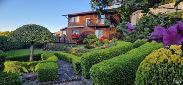 view of yard with a balcony