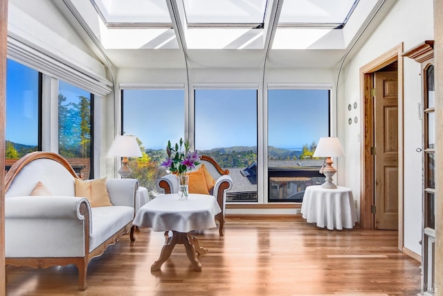 sunroom / solarium featuring a skylight and a wealth of natural light