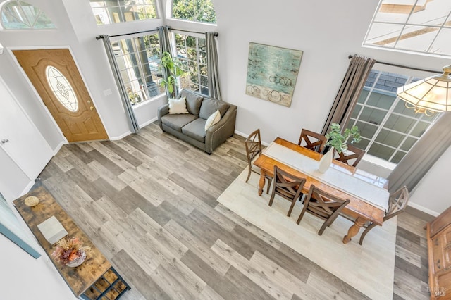 entrance foyer featuring a towering ceiling, baseboards, and wood finished floors