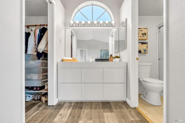 bathroom with lofted ceiling, vanity, toilet, and wood finished floors