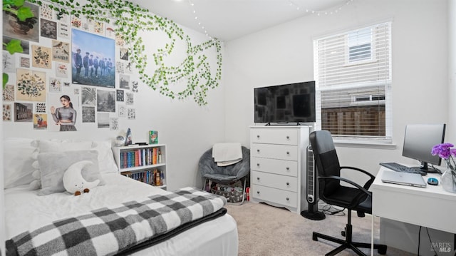 bedroom with light colored carpet