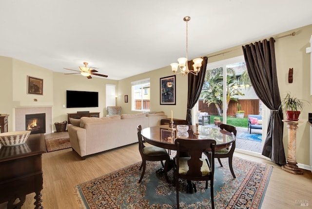 dining space with a warm lit fireplace, light wood-style flooring, and ceiling fan with notable chandelier