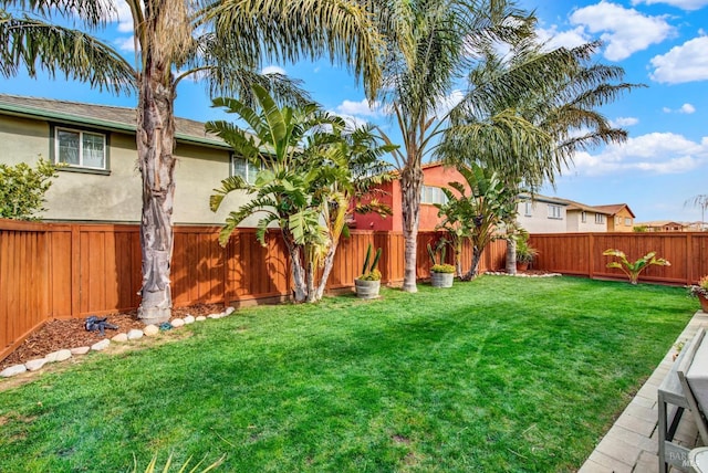 view of yard featuring a fenced backyard