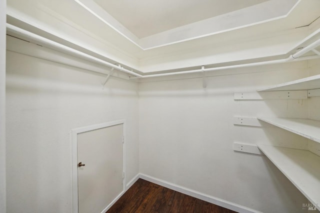 spacious closet with dark wood-style floors