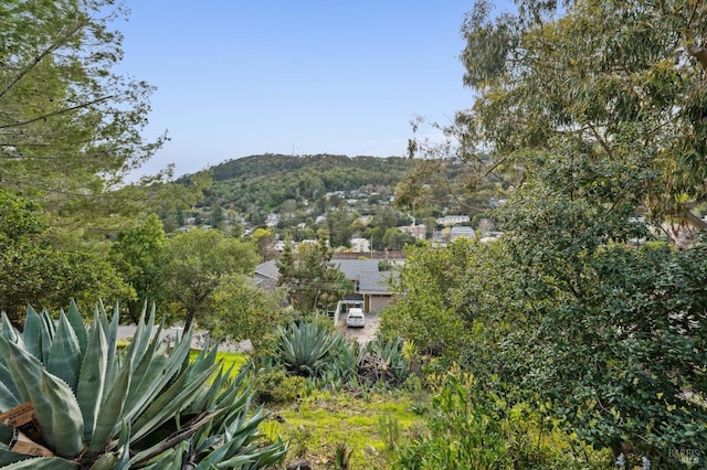 view of mountain feature