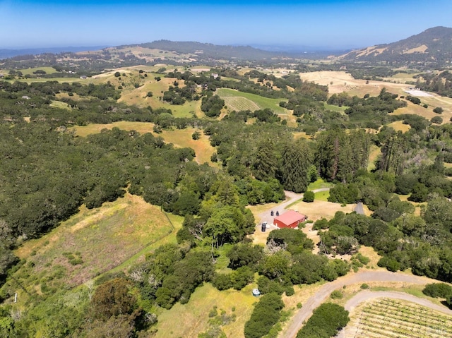 bird's eye view featuring a mountain view and a rural view