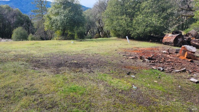 14180 Poonkinney Rd, Dos Rios, CA 95429
