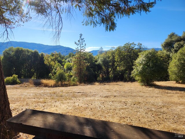 14180 Poonkinney Rd, Dos Rios, CA 95429