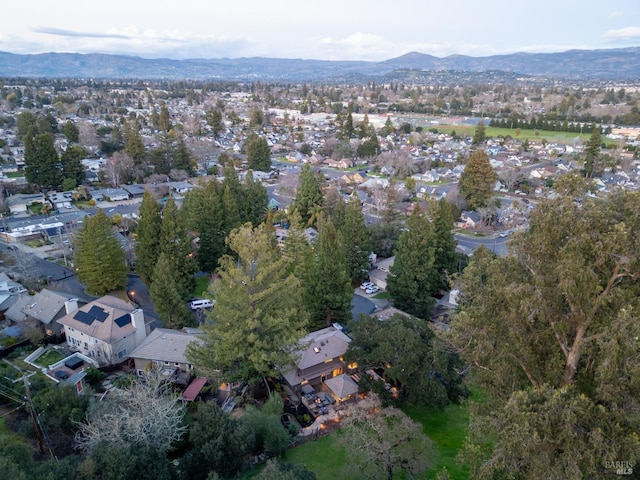 bird's eye view with a residential view and a mountain view