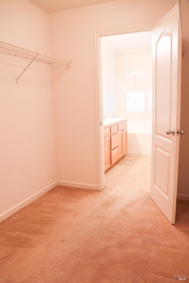 walk in closet with a sink and light carpet