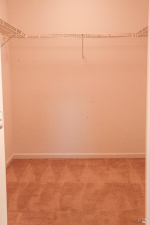 walk in closet featuring light colored carpet