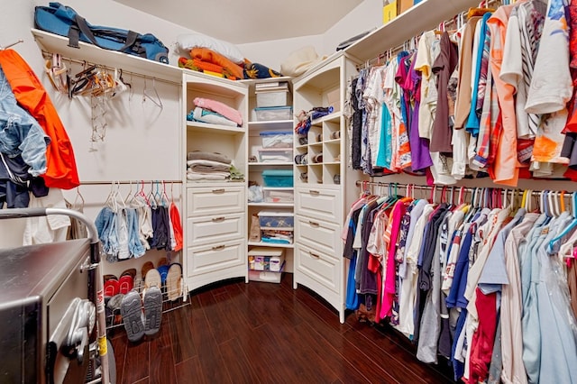 walk in closet with wood finished floors