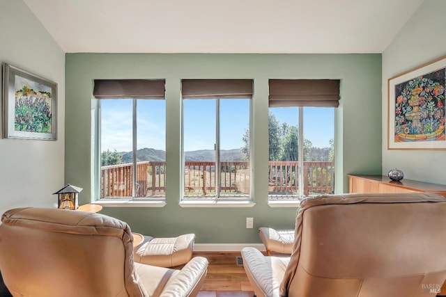 living area featuring baseboards, wood finished floors, a mountain view, and a healthy amount of sunlight