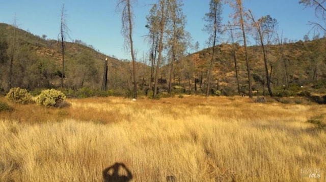 0 Butts Canyon Rd, Pope Valley CA, 94567 land for sale